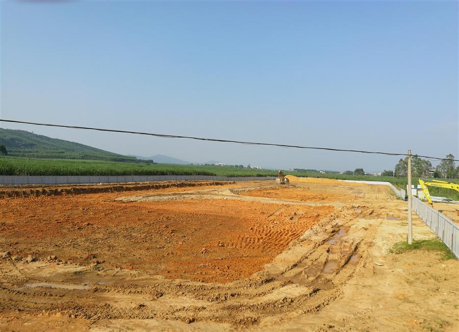 医生掀开奶罩边躁边狠狠躁视频