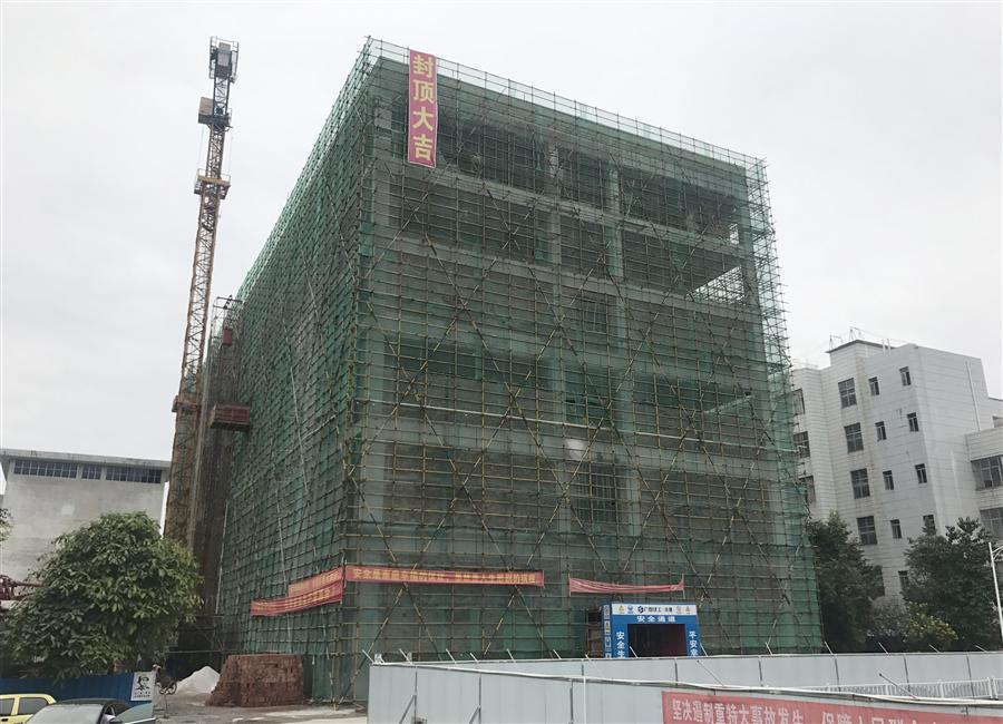 医生掀开奶罩边躁边狠狠躁视频