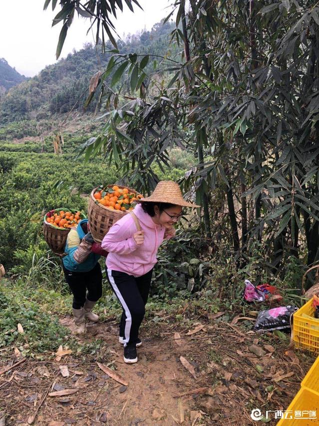 医生掀开奶罩边躁边狠狠躁视频