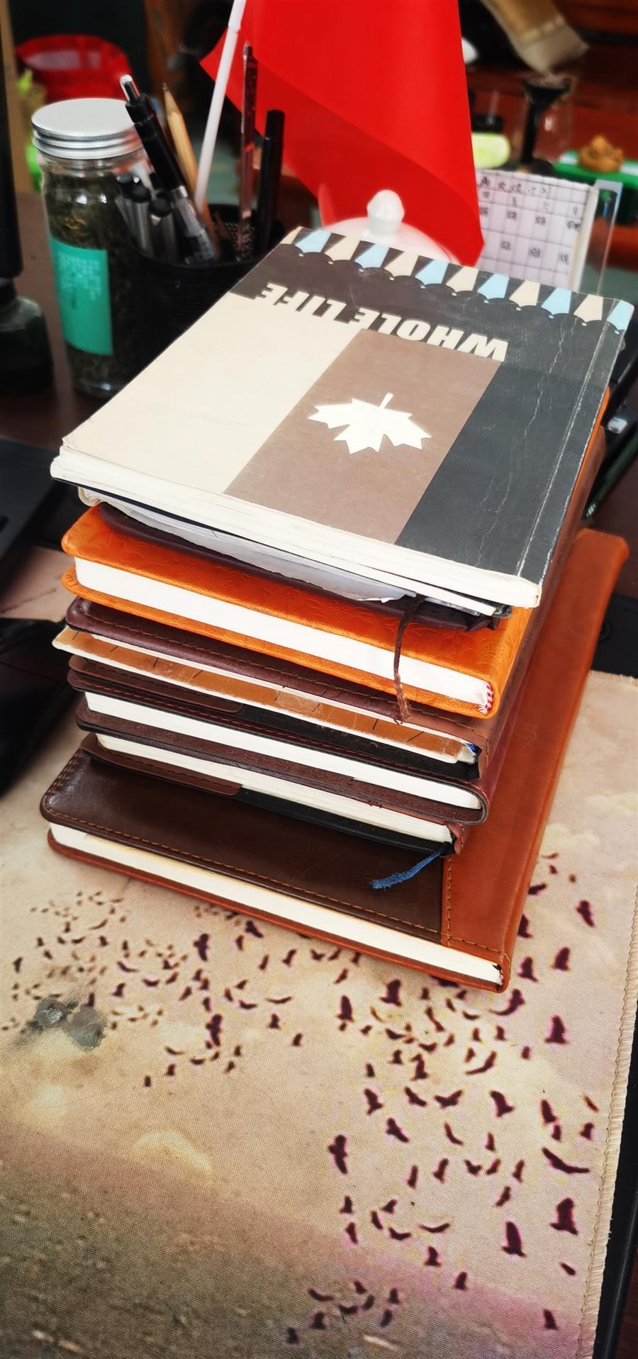 医生掀开奶罩边躁边狠狠躁视频