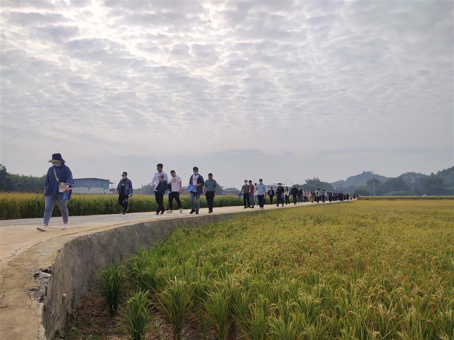 医生掀开奶罩边躁边狠狠躁视频