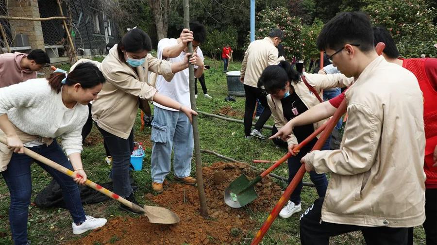 医生掀开奶罩边躁边狠狠躁视频