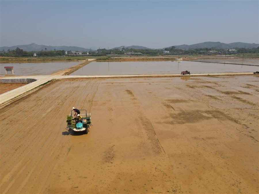 医生掀开奶罩边躁边狠狠躁视频