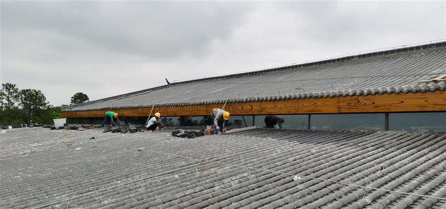 医生掀开奶罩边躁边狠狠躁视频