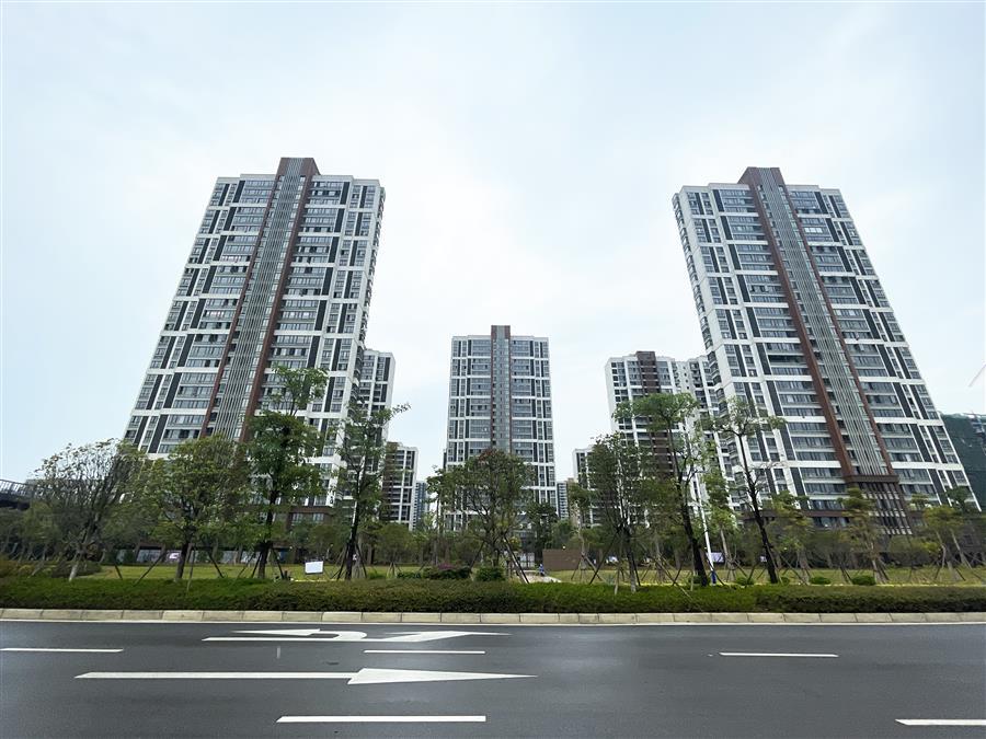 医生掀开奶罩边躁边狠狠躁视频