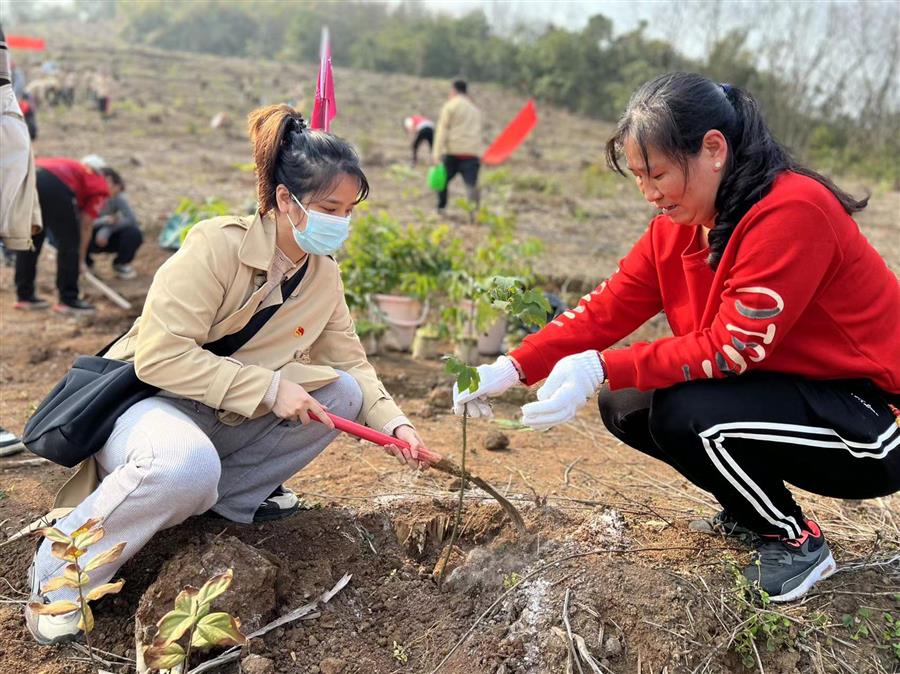医生掀开奶罩边躁边狠狠躁视频