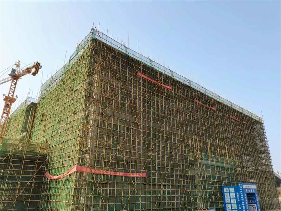医生掀开奶罩边躁边狠狠躁视频