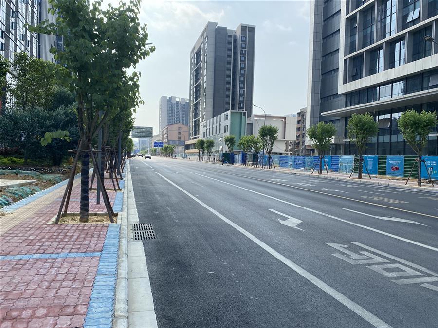 医生掀开奶罩边躁边狠狠躁视频