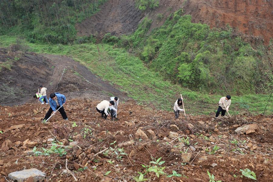 医生掀开奶罩边躁边狠狠躁视频