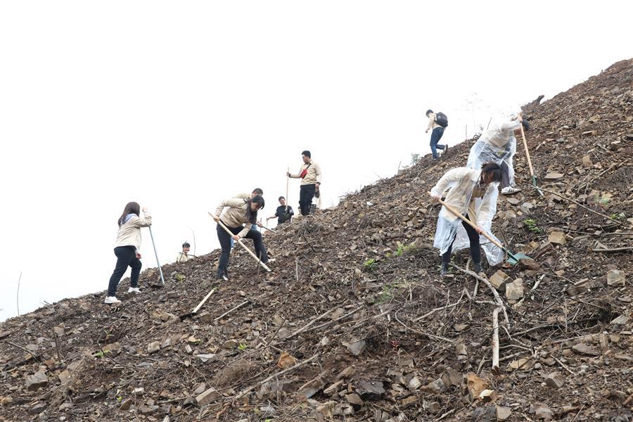医生掀开奶罩边躁边狠狠躁视频