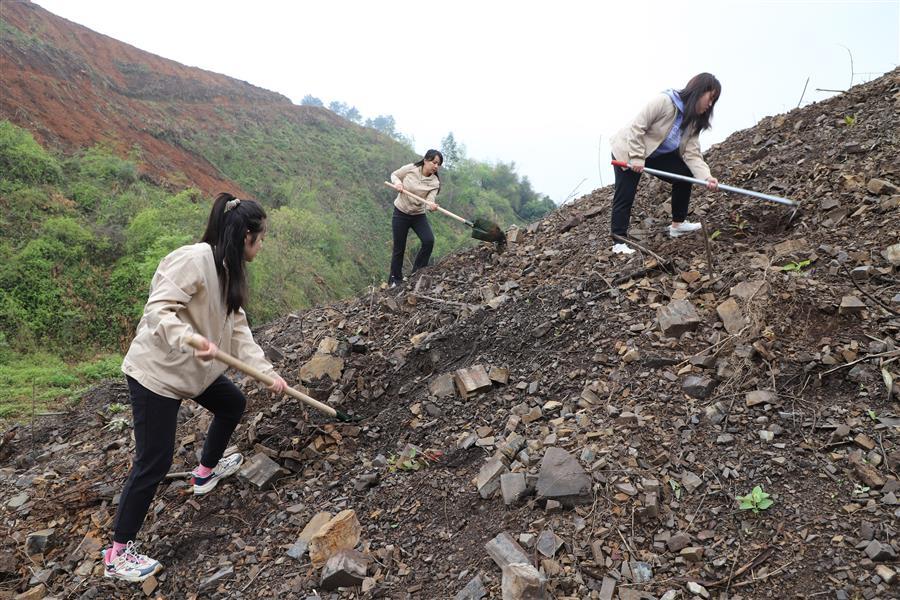医生掀开奶罩边躁边狠狠躁视频