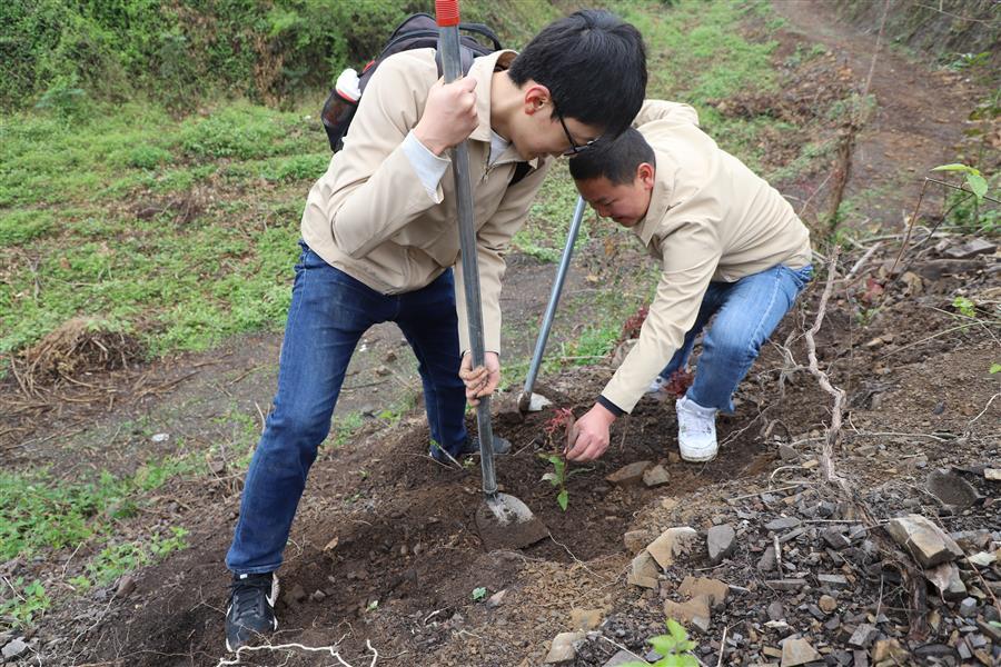 医生掀开奶罩边躁边狠狠躁视频