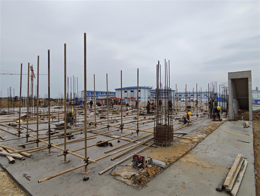 医生掀开奶罩边躁边狠狠躁视频