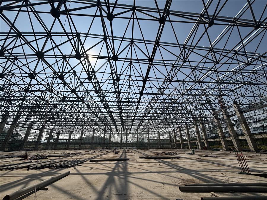 医生掀开奶罩边躁边狠狠躁视频