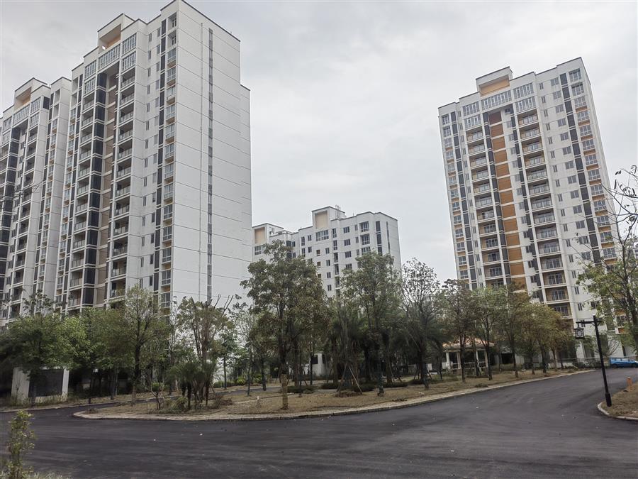 医生掀开奶罩边躁边狠狠躁视频