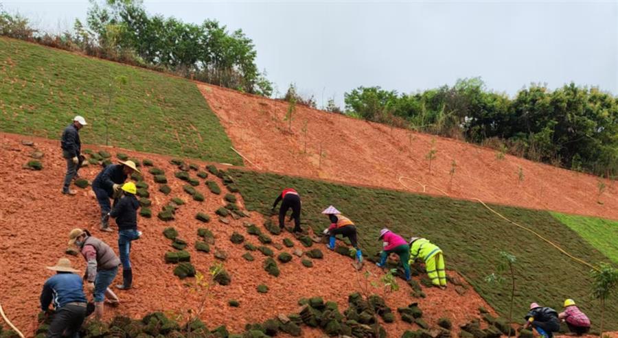 医生掀开奶罩边躁边狠狠躁视频