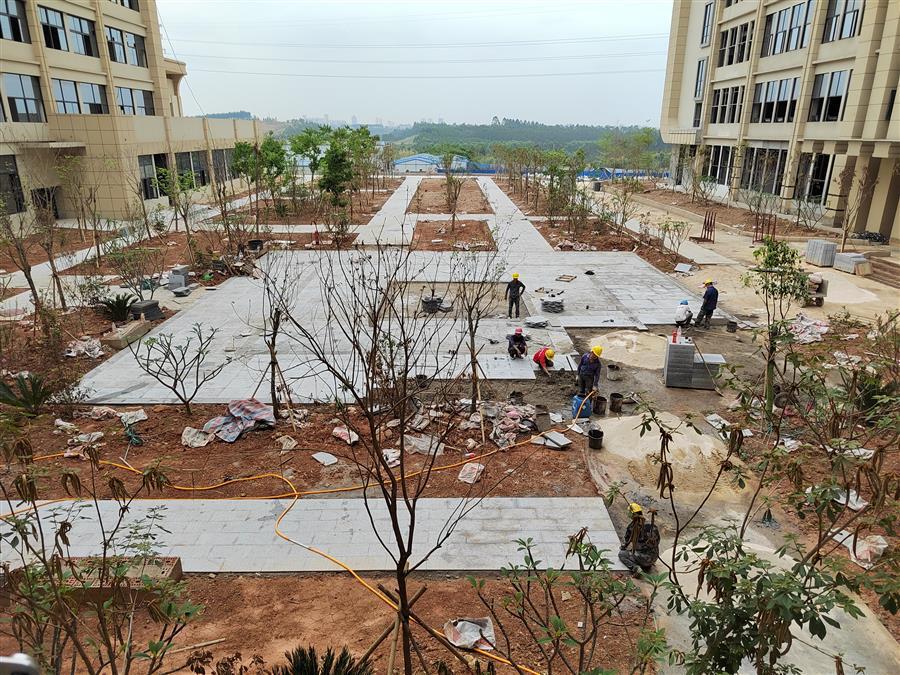 医生掀开奶罩边躁边狠狠躁视频