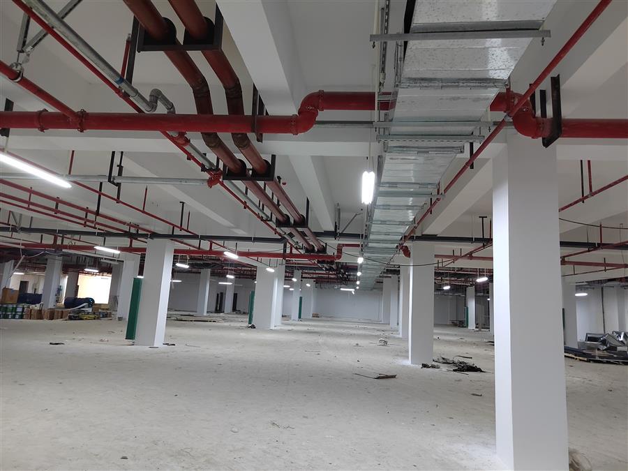 医生掀开奶罩边躁边狠狠躁视频