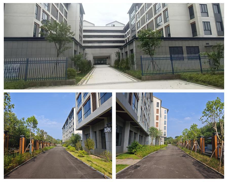 医生掀开奶罩边躁边狠狠躁视频