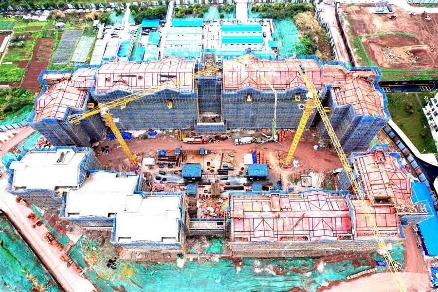 医生掀开奶罩边躁边狠狠躁视频