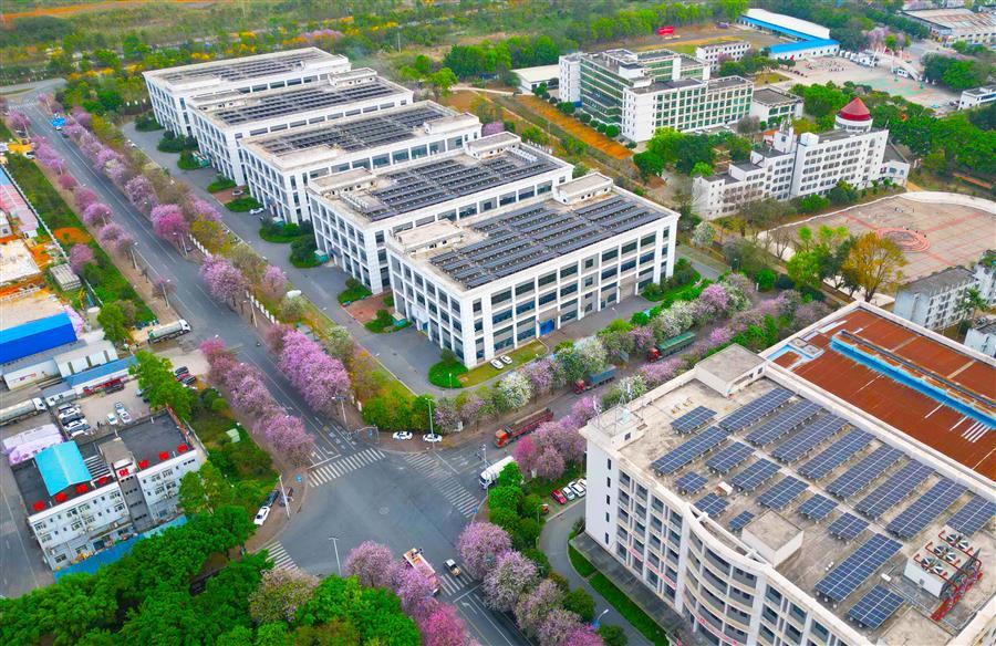 医生掀开奶罩边躁边狠狠躁视频