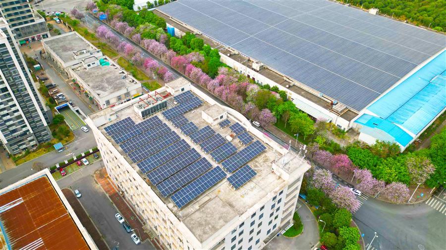 医生掀开奶罩边躁边狠狠躁视频