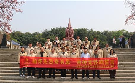 赓续红色血脉 凝聚奋进力量丨南宁区域党总支开展清明祭扫主题党日活动