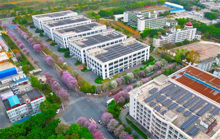 【实干筑梦·竞赛争锋】冶建基础分公司一光伏发电项目顺利通过竣工验收